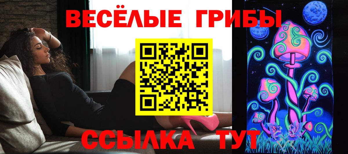 Псилоцибиновые грибы ЛСД Чистополь