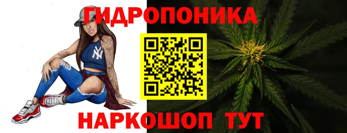 Чистополь  Канабис OG Kush  Шишки марихуана LSD WEED  Вход с VPN  МАРИХУАНА тримм  Марихуана план 
